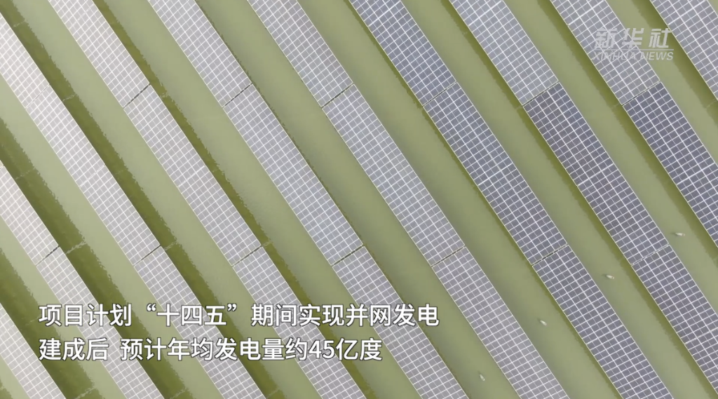 赛酷体育新华视点｜新能源众维度发力 开释绿色新动能(图4)