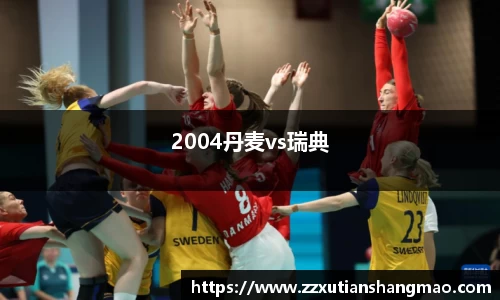 2004丹麦vs瑞典