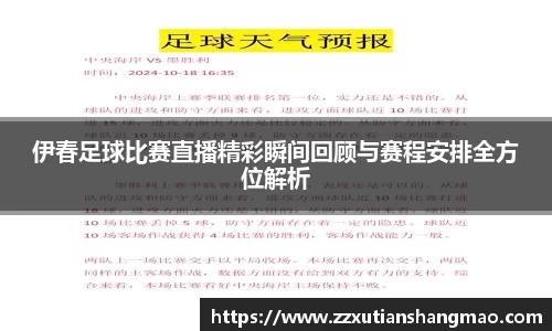 im电竞·电子竞技平台