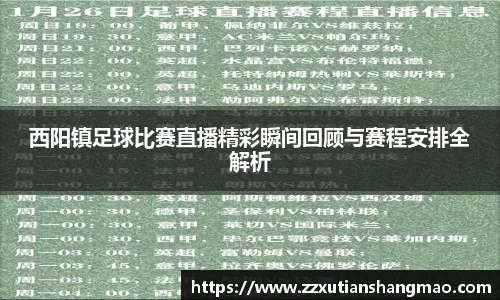 西阳镇足球比赛直播精彩瞬间回顾与赛程安排全解析