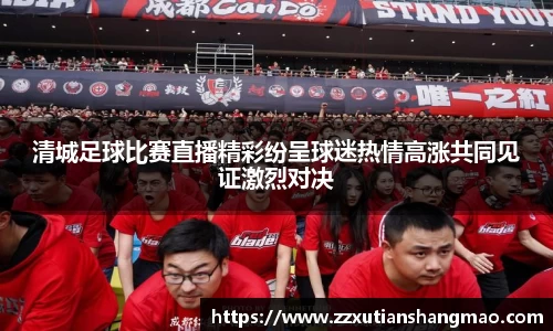 im电竞官网