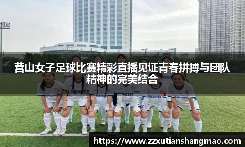 im电竞官网