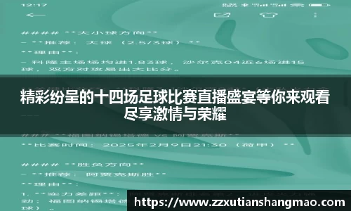im电竞官网