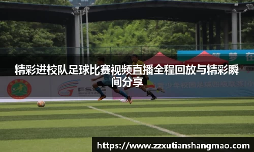 im电竞官网